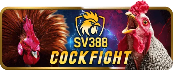 Hướng dẫn đăng ký và đặt cược đá gà 7club